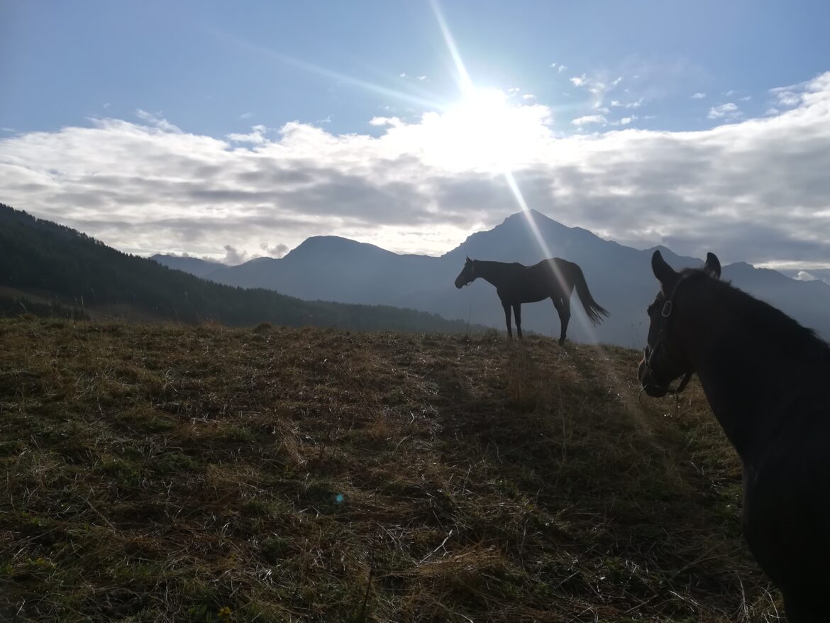 Il Cavallo e la Montagna – Spazi di Incontro  Pragelato –  estate 2024